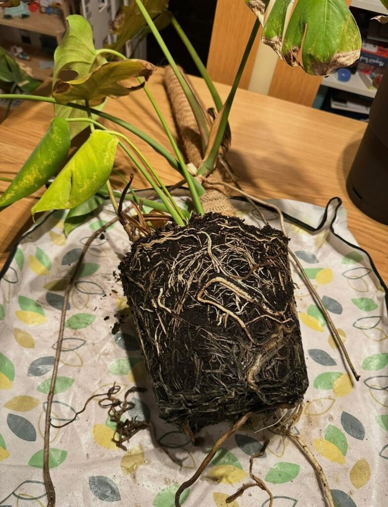 What a difference 9months make