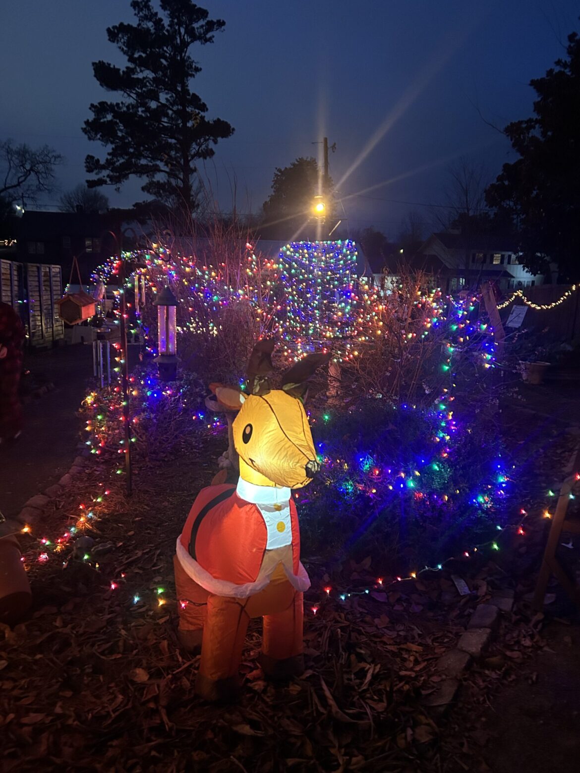 ‘Simple joy of being outdoors’: East Elementary Garden Club hosts Christmas celebration A reindeer inflatable and lights are seen in the East Elementary School outdoor classroom. The school’s Garden Club hosted a Christmas celebration on Dec. 5, 2025. (Anabelle Howze/The Cullman Tribune)