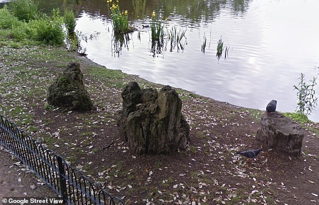 Tree trunks in Regent's Park look unexciting but have a very old secret