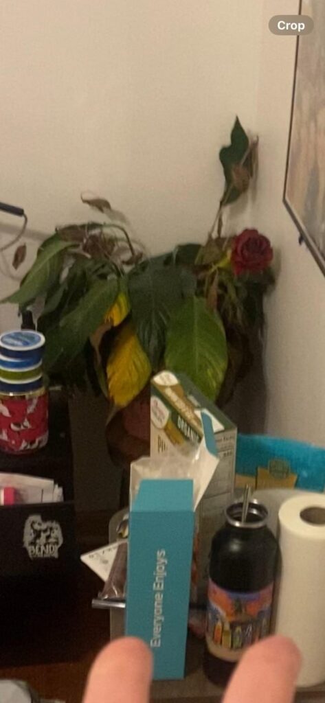 1 day difference! Everything will be okay