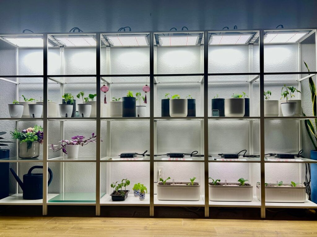 Saturday Enhancements Saturday Enhancements