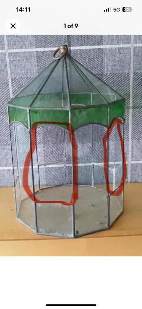 Is this a Terrarium?