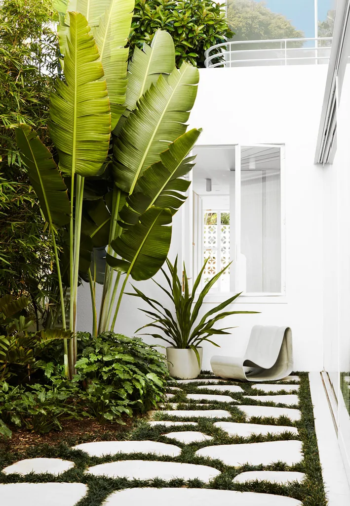 Planter pot in backyard