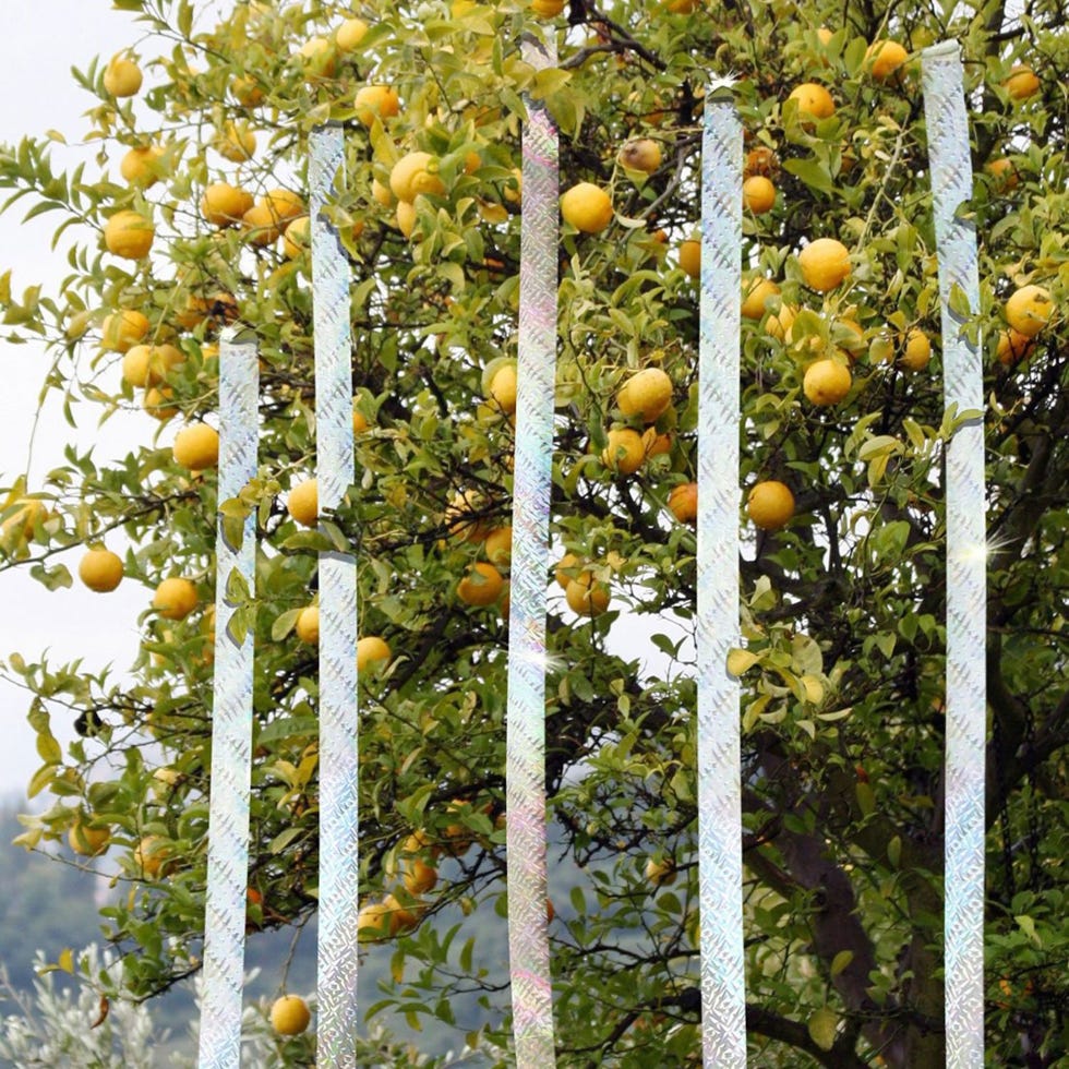 Holographic Double Sided Scare Tape 