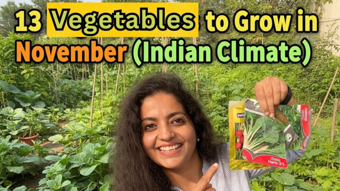 13 Vegetables for November | Indian climate ke liye November ki 13 best veggies | GetMyHarvest