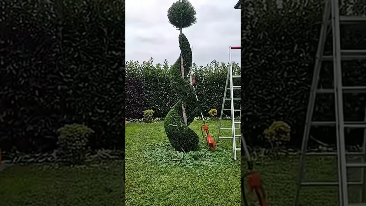 Weeding | Grass Cutting | Landscaping | Edging 🌱#lawn #transformation #satisfying #asmr