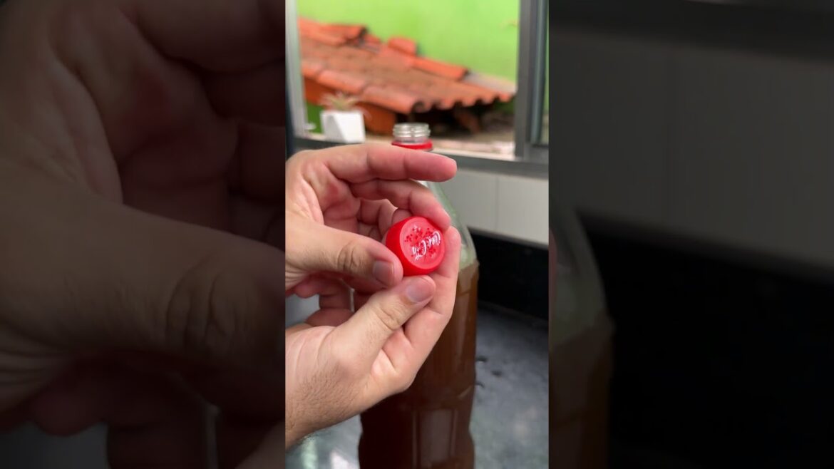 Put ground coffee on the eggshell! (Secret revealed)๐๐ฑ Put ground coffee on the eggshell! (Secret revealed)๐๐ฑ