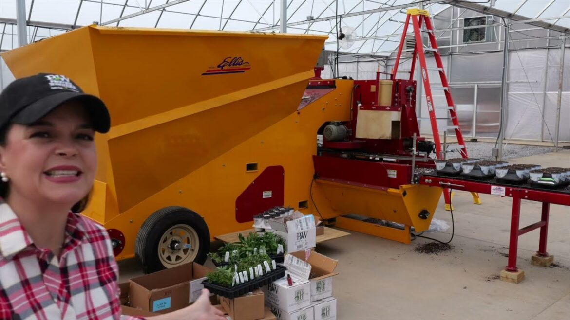 Exciting New Perennials From Proven Winners