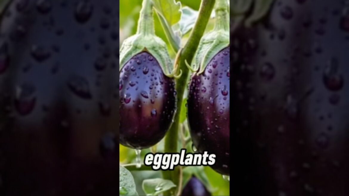 FAST Growing Edible Plants To Harvest In Just WEEKS?  #fastgrowingplants