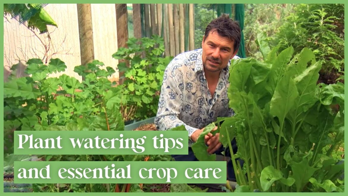 8 Tips For How To Prepare Your Garden For Next Spring