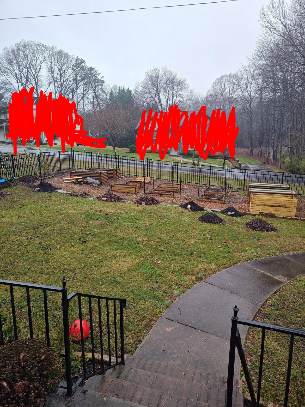 Slowly converting entire front yard into a garden Slowly converting entire front yard into a garden