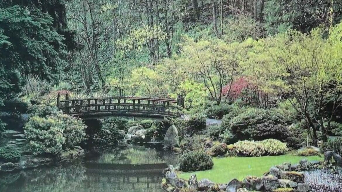 Photos Rescued from a Water-Damaged Japanese Garden Idea Book