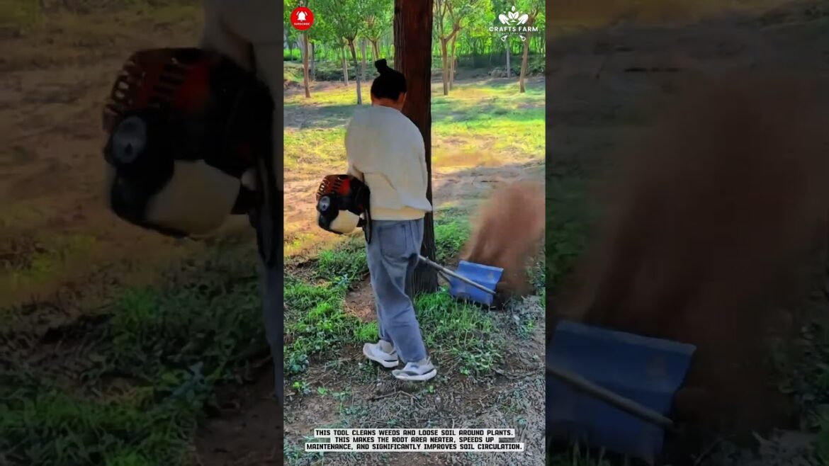 Mini Power Tiller: Under Tree Plants #smartfarming #gardeningtips Mini Power Tiller: Under Tree Plants #smartfarming #gardeningtips