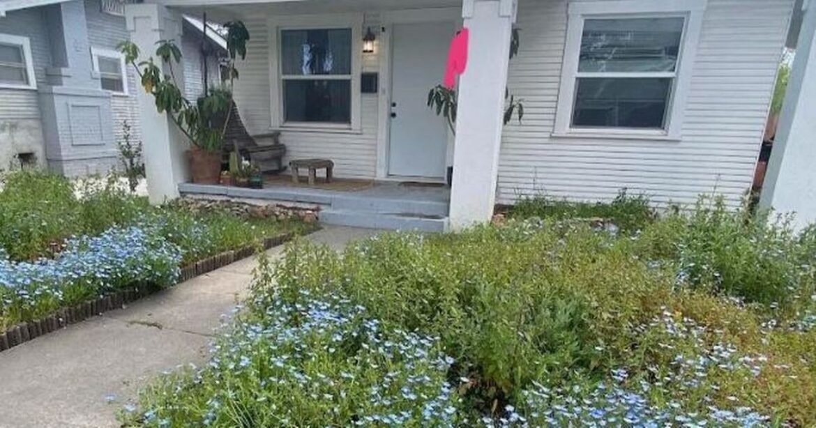 ‘I began decorating my front garden and what rude neighbour said blindsided me’ Daily Mirror