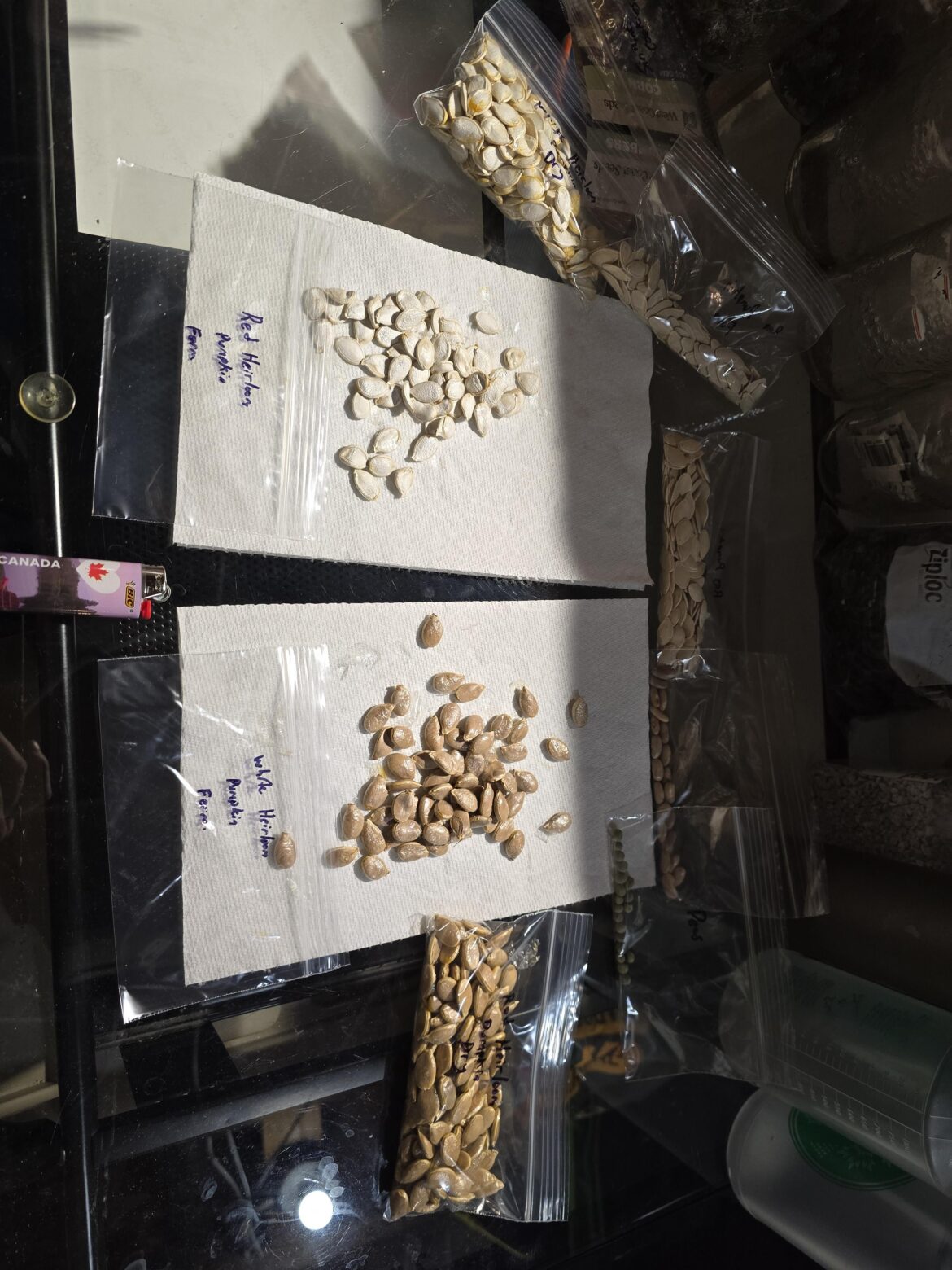 Anybody else collect different seeds each year?