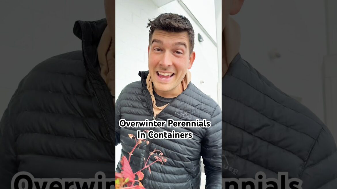 Don’t Kill Your Container Plants - Do This Instead! #gardening #gardeningtips