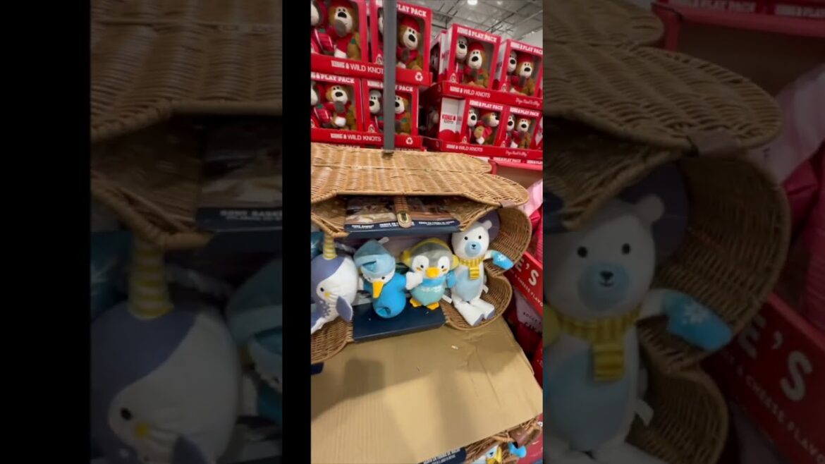 dog stuff 2 The Best types of toys (e.g., for chewers, for puppies)?