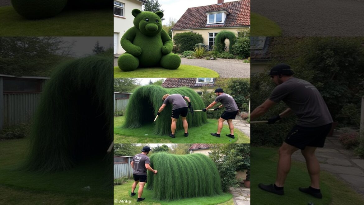 Satisfying Garden Transformations You Can’t Miss! – Relax & Enjoy! 🌳