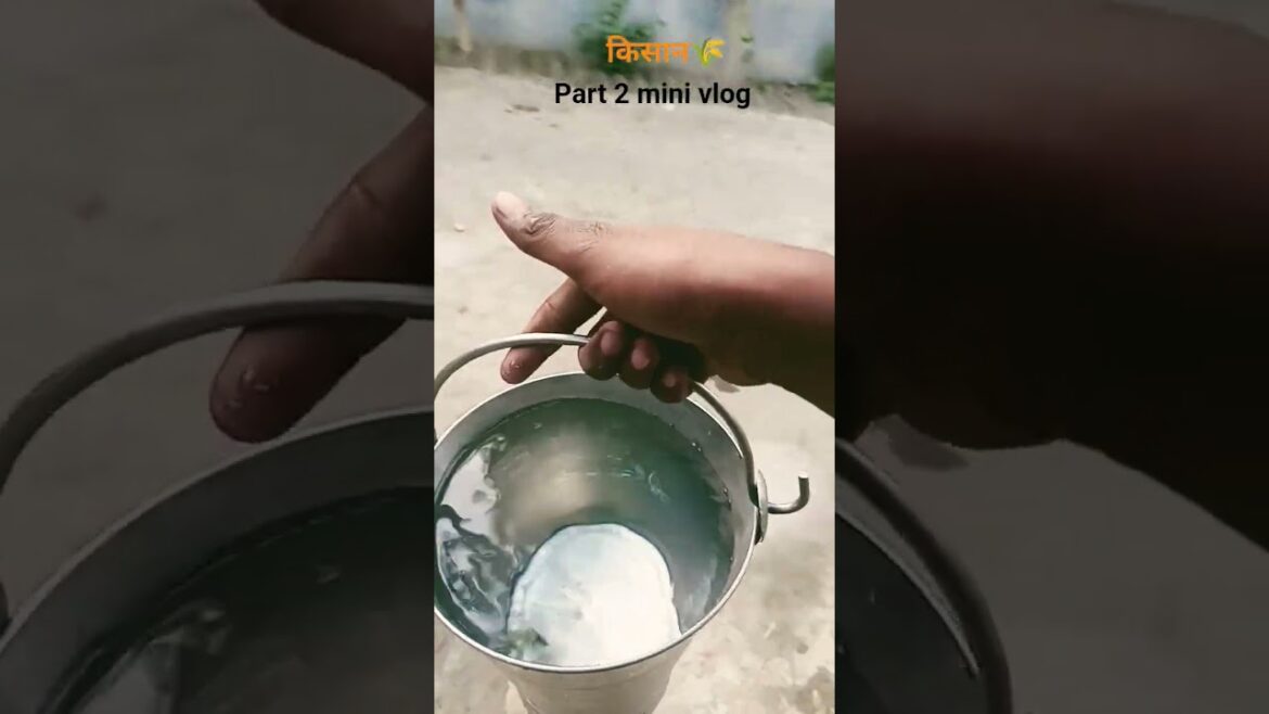 part 2 mini vlog🍃🌳.. #shorts