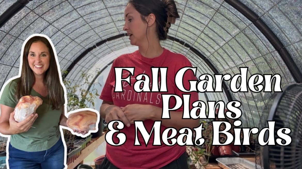 Fall Garden Plans & Meat Birds
