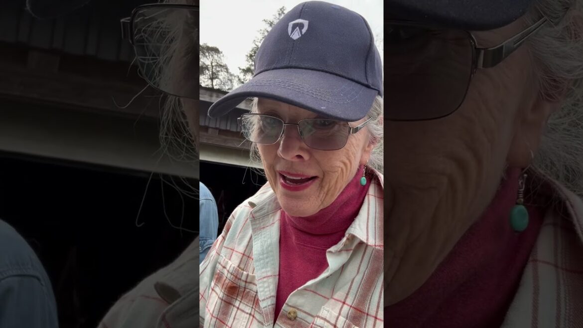 How to glaze a window #diy #diyprojects