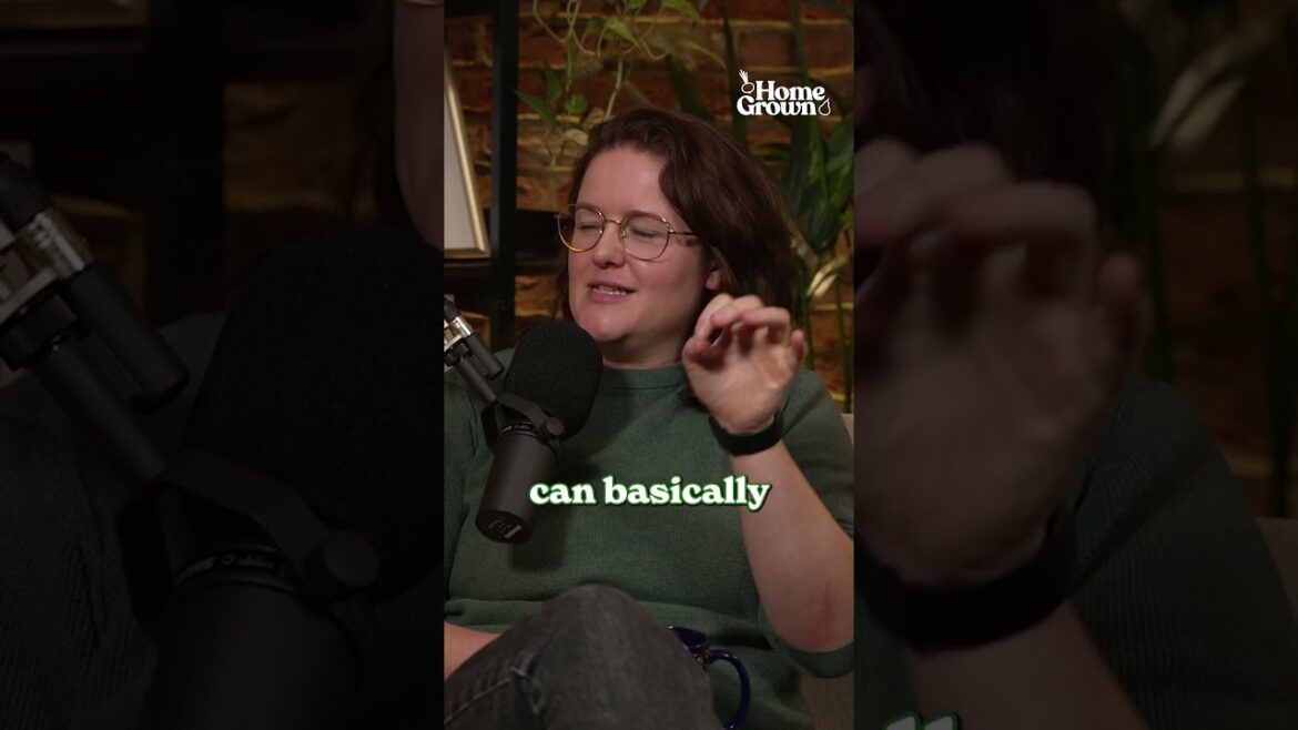 Ancient food that survived centuries… would you eat it? 🤯 Ancient food that survived centuries… would you eat it? 🤯