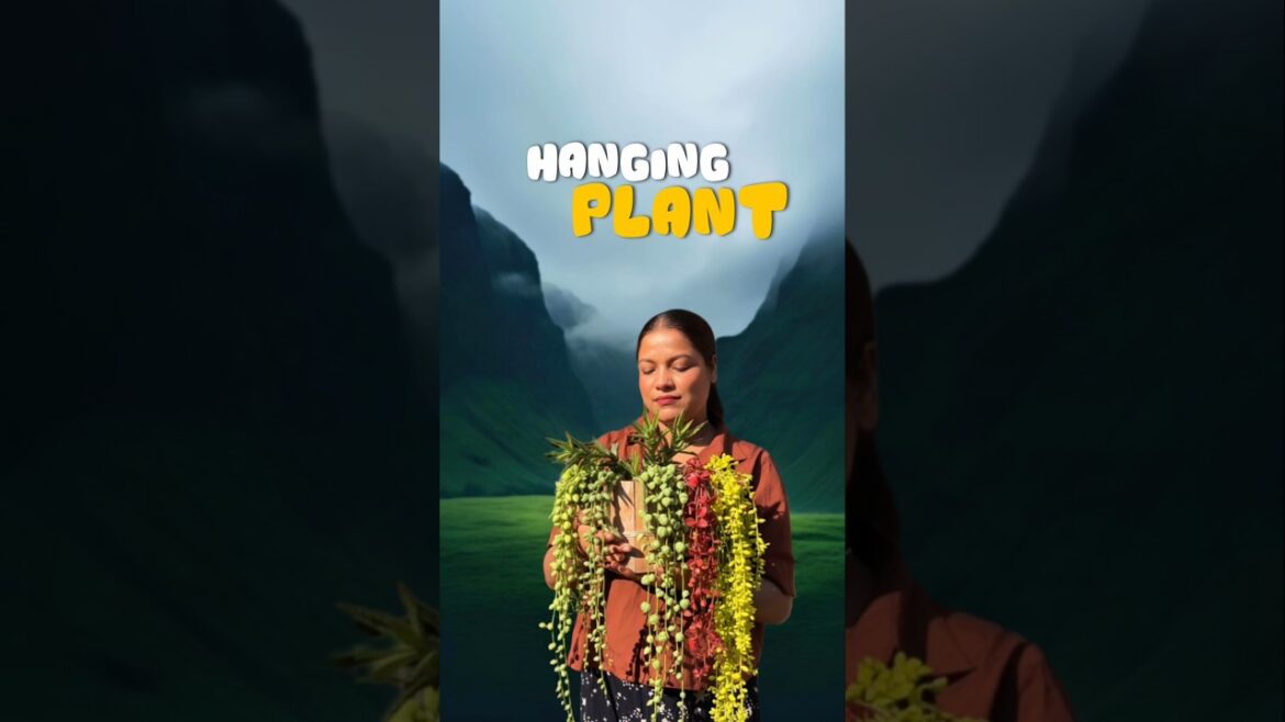 এবার শীতে কোনটা কোনটা লাগাবে!! 🥹🧿 #shorts #minivlog #lifestyle #bengali #gardening