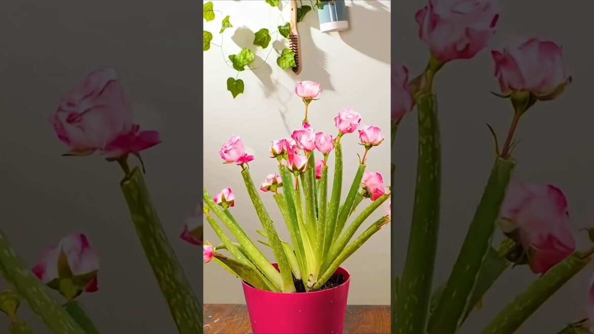 Transform Your Garden With These Expert Organic Hacks | #gardening #hacks #5minutecrafts #shorts