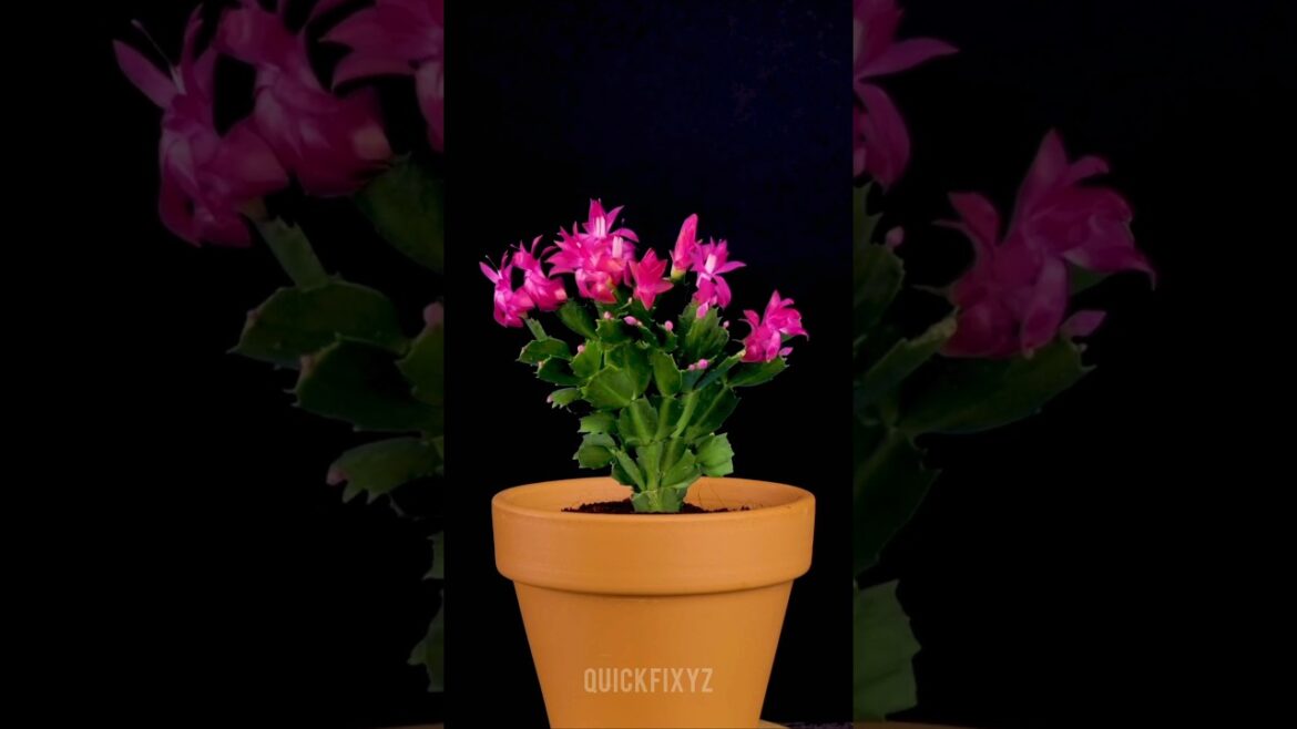 Transform Your Garden Naturally | Organic, Easy & Effective Gardening Tips | #gardeningtips #shorts