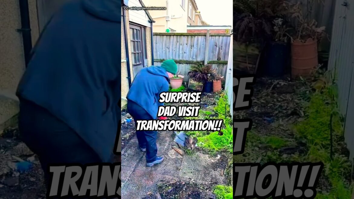 Surprise Visit Transformation: Son Fixes Overgrown Patio Just in Time! 🤯 Surprise Visit Transformation: Son Fixes Overgrown Patio Just in Time! 🤯