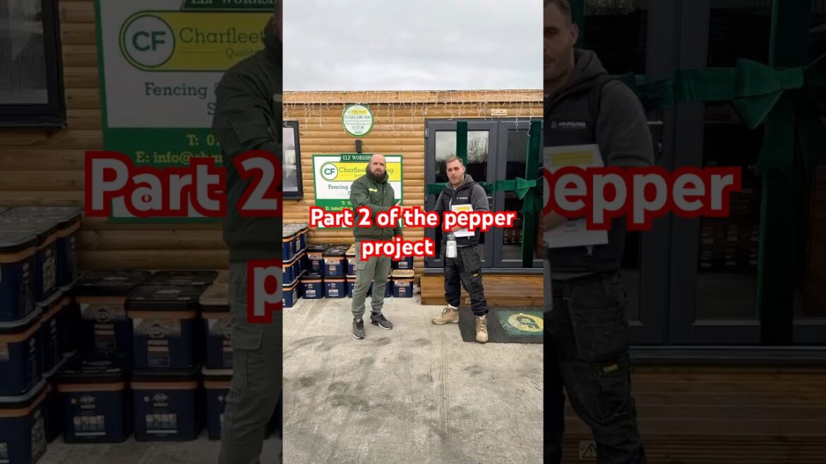 Part 2 of Pepper Project 🧂 #landscapingexperts #construction #fencing #driveway #landscape
