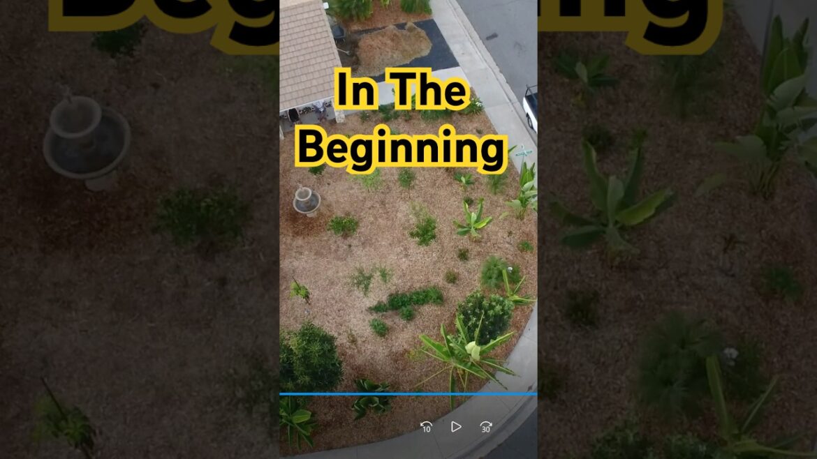 Start of our food forest