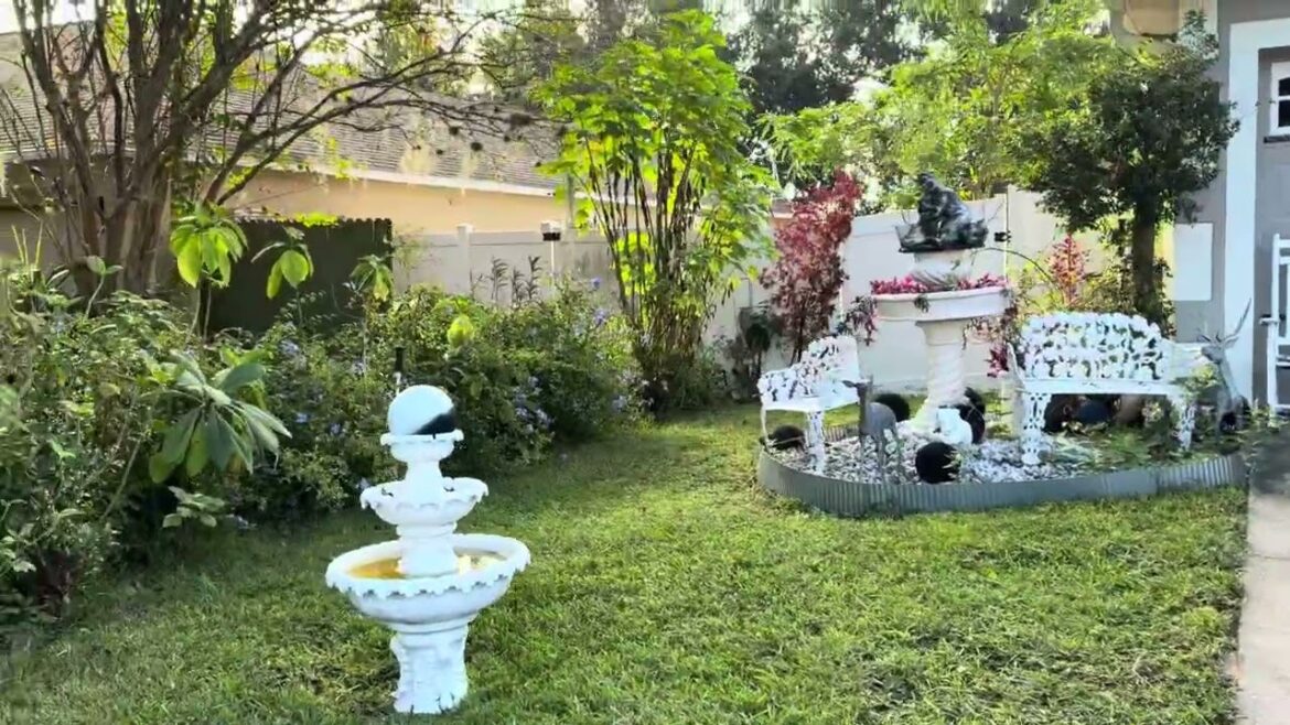 Front Yard Garden Tour #grass #plants #frontyard #nature #flowers