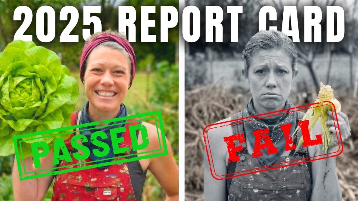 2025 Garden WINS & FAILS: What Thrived, Died & Shocked Me! 2025 Garden WINS & FAILS: What Thrived, Died & Shocked Me!