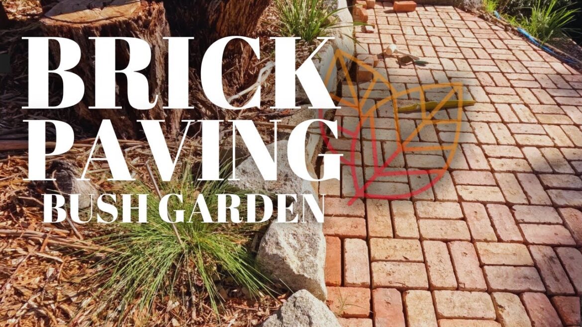 The Hill That Became a Garden | Red Bricks Beneath the Gums