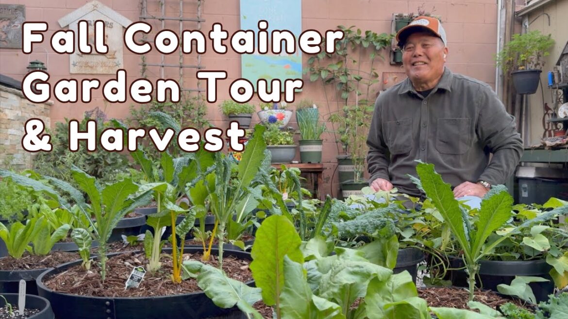 November Container Garden Tour & Harvest | Container Vegetable Gardening