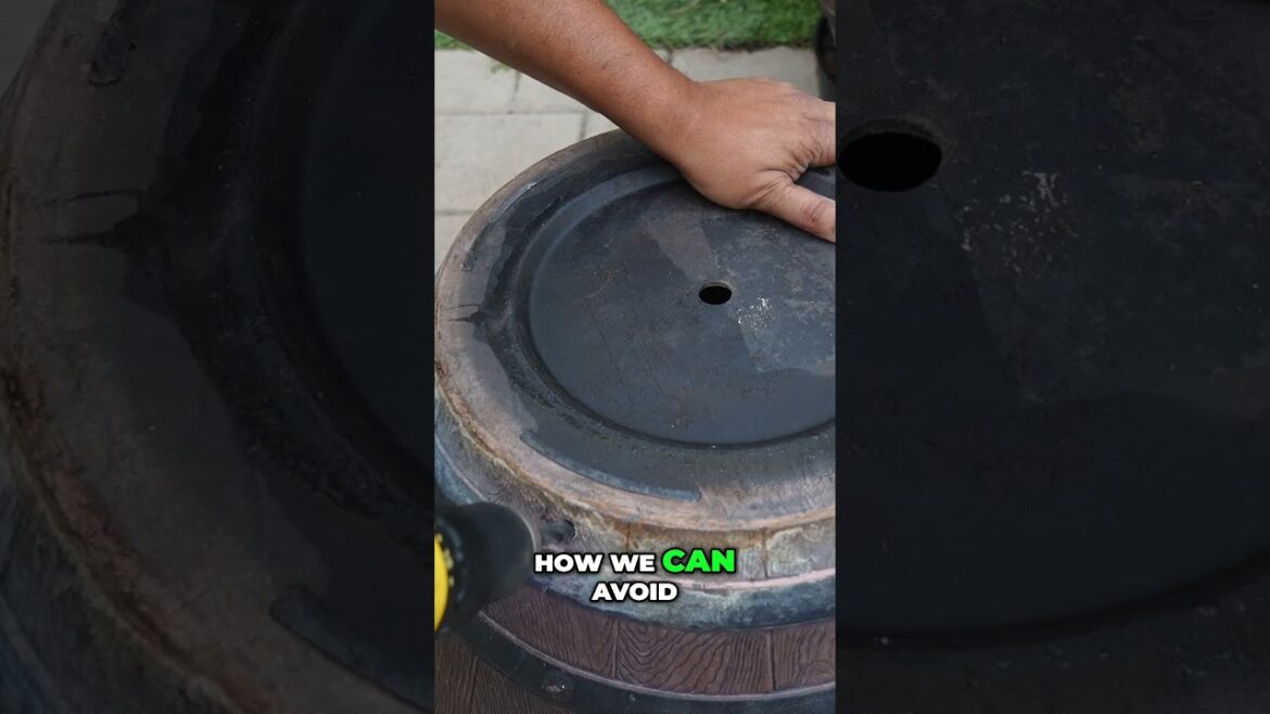 Citrus Pot Drainage  - Avoid This Common Gardener Mistake