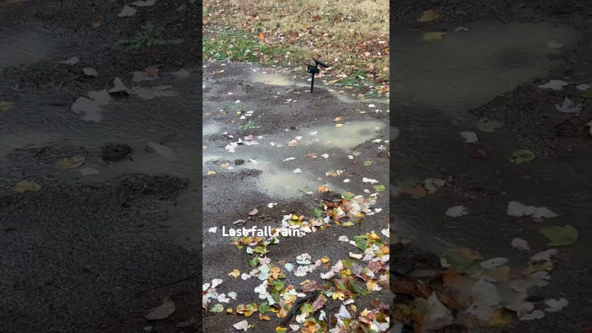 Build a patio here?? 💧🌊 #gardendesign