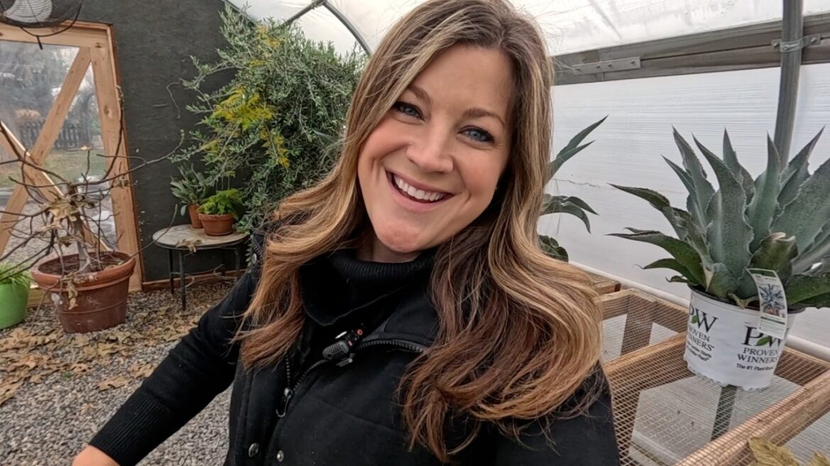 Garden Answer: Creating a Winter-Inspired Dining Table Centerpiece! 🪴❄️🌲 Creating a Winter-Inspired Dining Table Centerpiece! 🪴❄️🌲