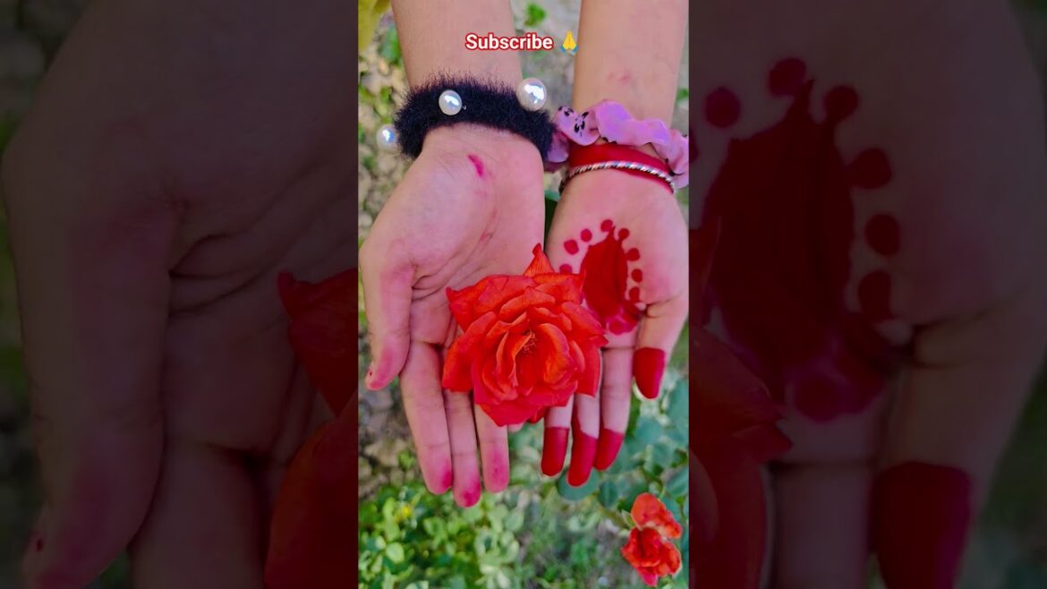 ফুল নিয়ে টিকটক #gardening #youtubeshorts #UpdateGardening #garden #youtubeshort #flowers #rose