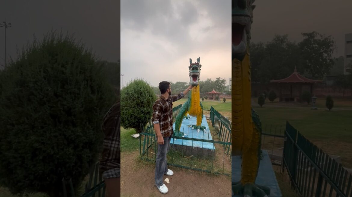 Japanese Garden Chandigarh #pankajtalks