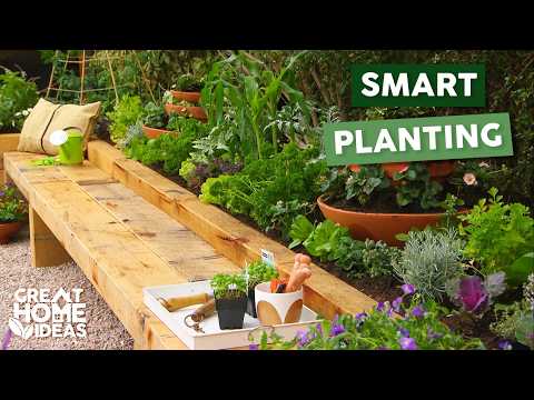 8 Beginner Friendly Tips For Growing Vegetable Gardens | Great Home Ideas 8 Beginner Friendly Tips For Growing Vegetable Gardens | Great Home Ideas