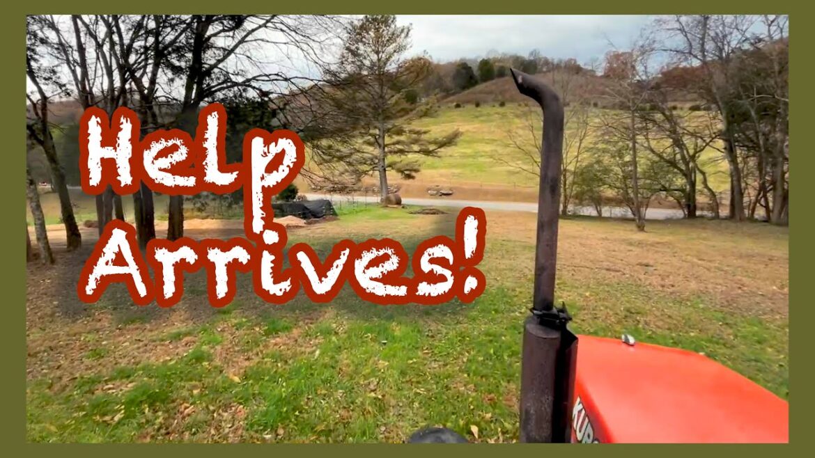 MEN and MACHINES | Fall Colors (with cats!)