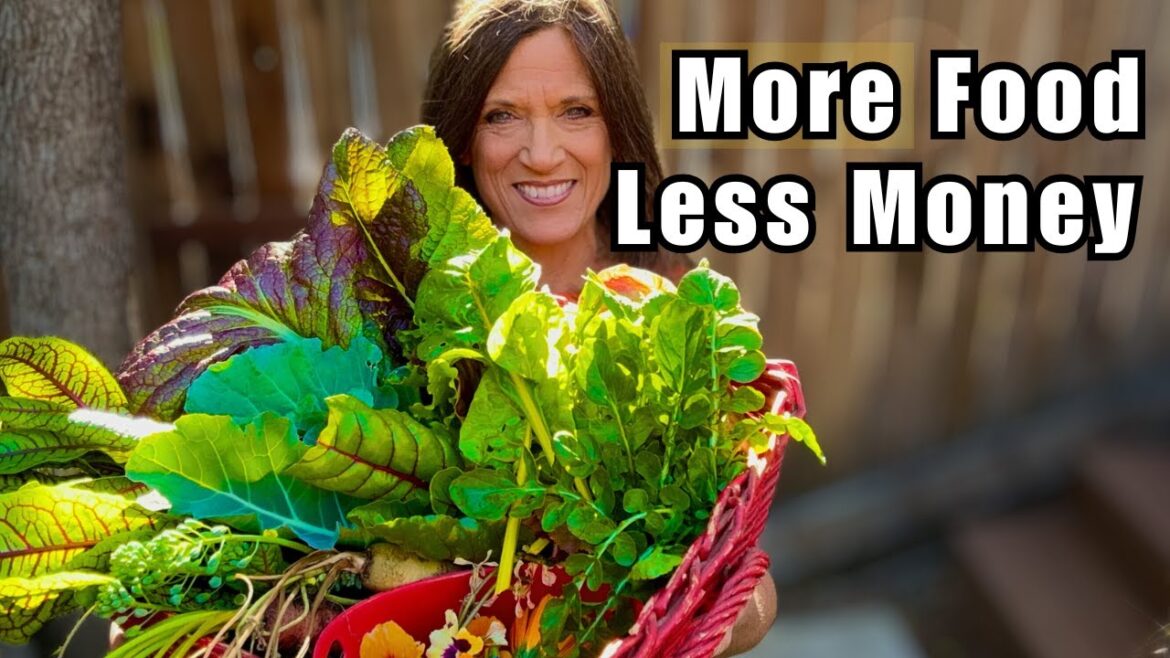 CaliKim: Grow More Food, Spend Less Money: My Best Budget Garden Tips Grow More Food, Spend Less Money: My Best Budget Garden Tips