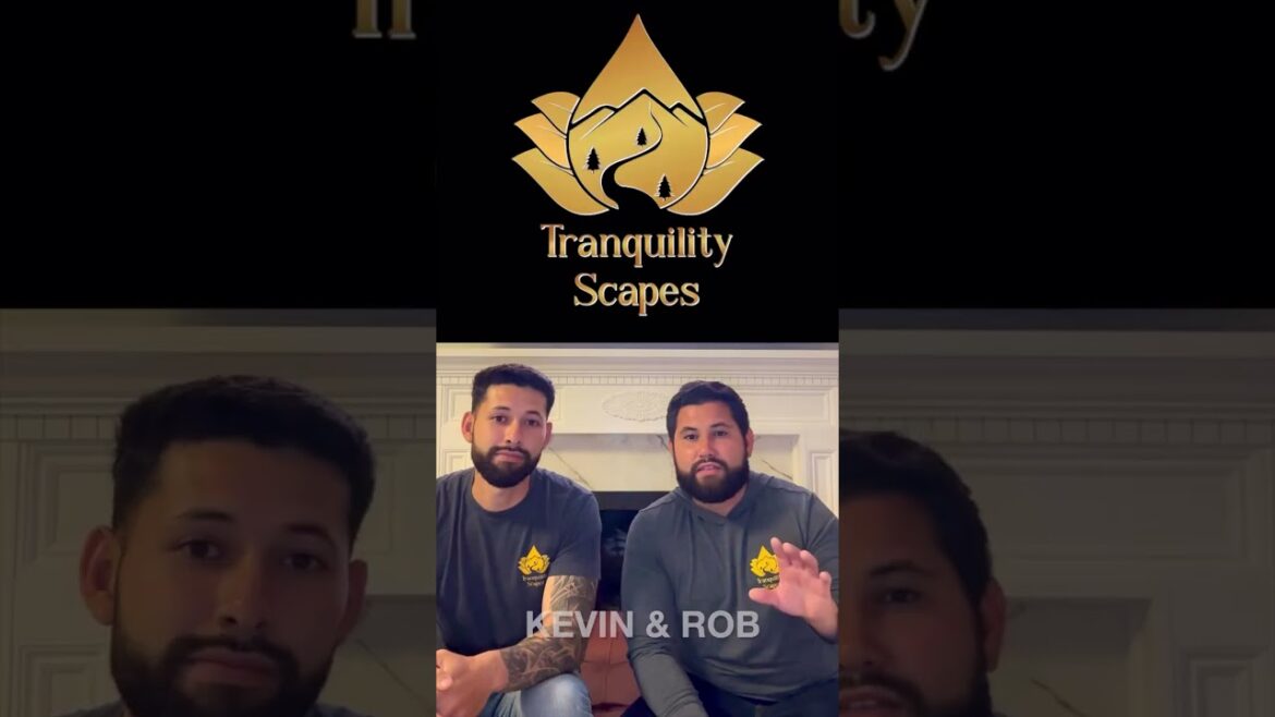 Backyard Pond Giveaway!! #shorts