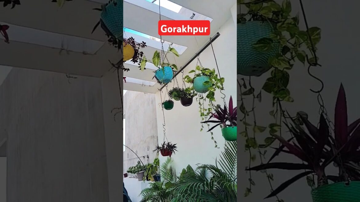 bhada per javani bechaye lagi | Shilpi Raj | परतावल वाली भौजी #bhojpuri #youtubeshorts #kuhusingh555