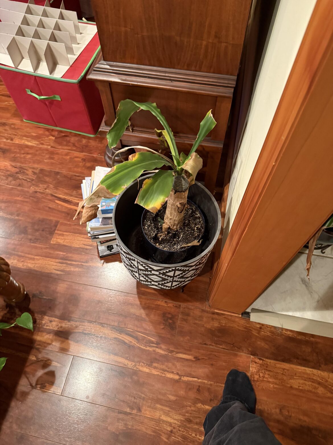 How can I save this ?