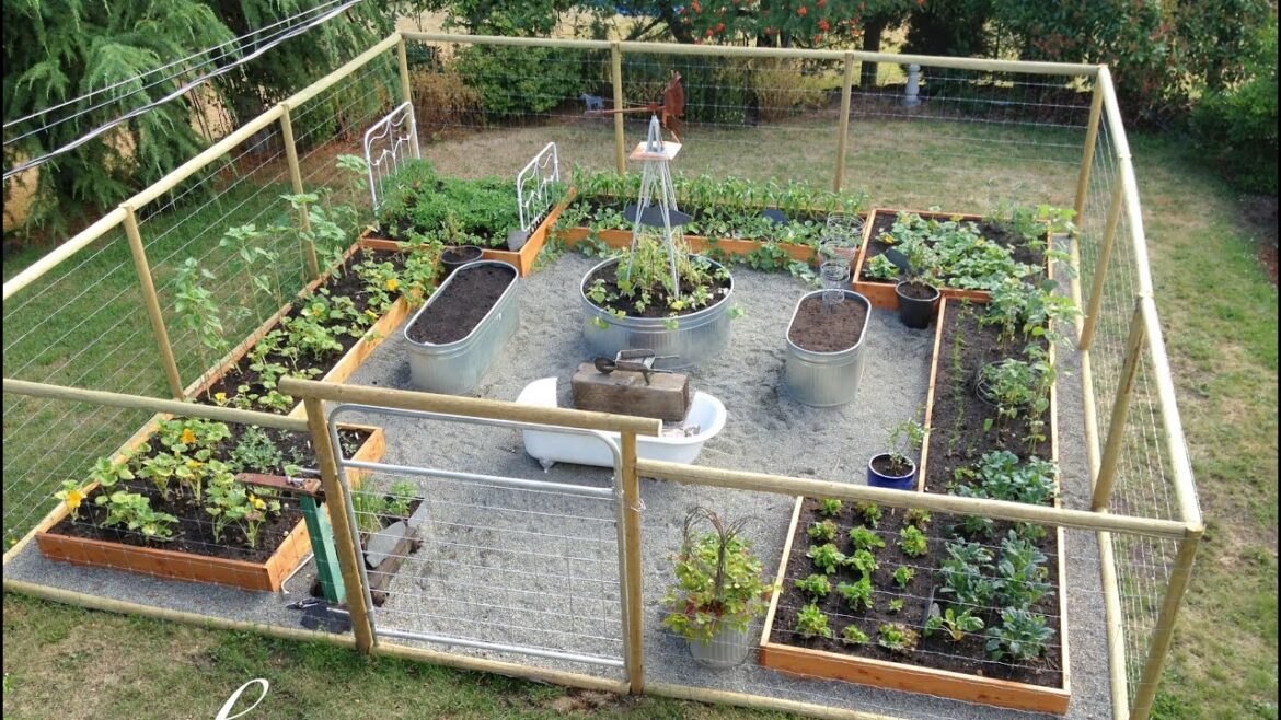 WONDERFUL! SMALL BACKYARD VEGETABLE GARDEN DESIGN IDEAS | HOW TO START URBAN FARMING FOR TINY SPACE WONDERFUL! SMALL BACKYARD VEGETABLE GARDEN DESIGN IDEAS | HOW TO START URBAN FARMING FOR TINY SPACE