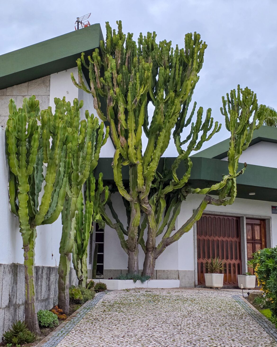 Not mine, but worth sharing 🤩