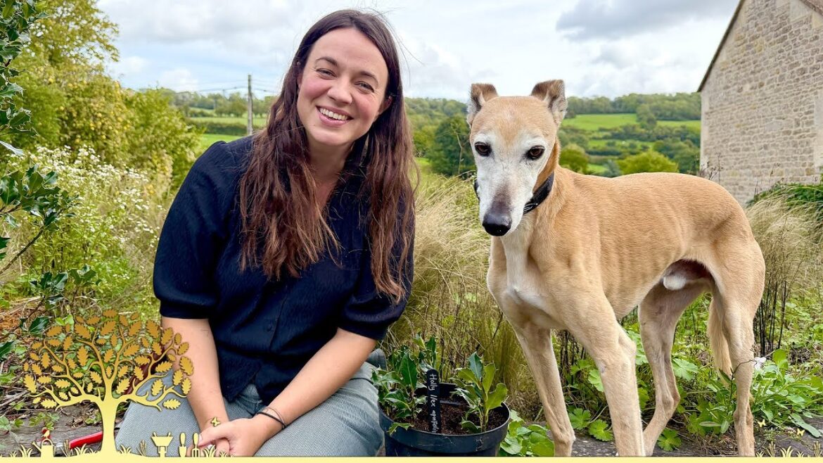 Gardeners’ World Winter Specials 2025/26 Ep1 | Winter Gardening Inspiration Gardeners' World Winter Specials 2025/26 Ep1 | Winter Gardening Inspiration